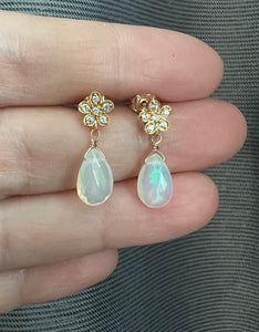 Ethiopian Opal Daisy Earrings