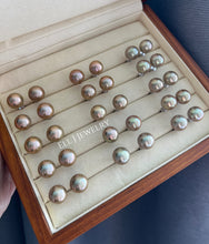 Load image into Gallery viewer, [NEW!] GOLDEN: Large Statement Golden Freshwater Pearl Earring Studs 925 Silver