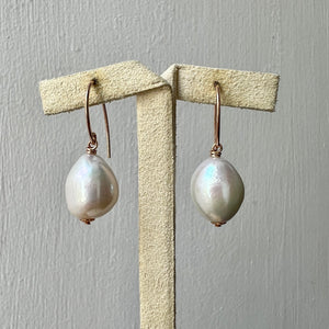 Simple Ivory Pearls 14kRGF Earrings