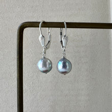 Load image into Gallery viewer, Silver-Blue Akoya Pearl 925 Silver Earrings