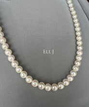 Load image into Gallery viewer, Japanese ROUND Ivory Akoya Pearl Necklace 7-7.5mm (with PSL Cert)
