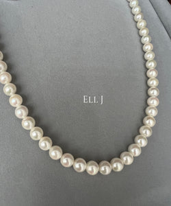 Japanese ROUND Ivory Akoya Pearl Necklace 7-7.5mm (with PSL Cert)