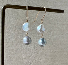 Load image into Gallery viewer, Silver Akoya, Keshi FW Pearls 14kGF Earrings