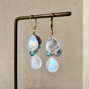 Rainbow Moonstone, Akoya Pearls, Apatite 14KGF Earrings