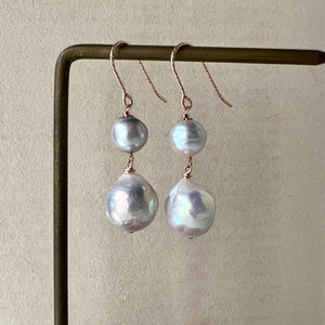 Silver Akoya & Ivory Rainbow Edison FW Pearls 14kRGF Earrings