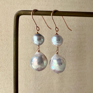 Silver Akoya & Ivory Rainbow Edison FW Pearls 14kRGF Earrings