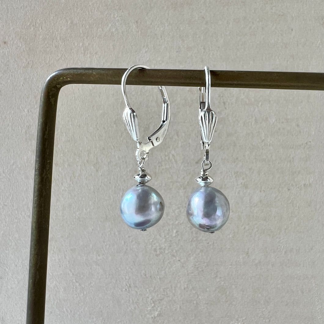 Silver-Blue Akoya Pearl 925 Silver Earrings