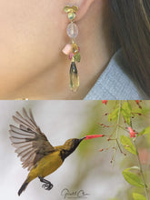 Load image into Gallery viewer, The Olive Backed Sunbird