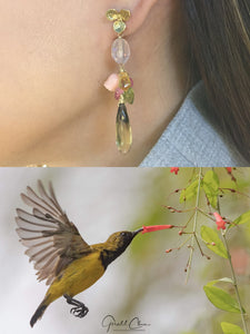 The Olive Backed Sunbird