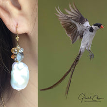 Load image into Gallery viewer, The Pin Tailed Whydah