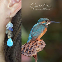 Load image into Gallery viewer, The Common Kingfisher