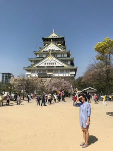 Castle Dreams