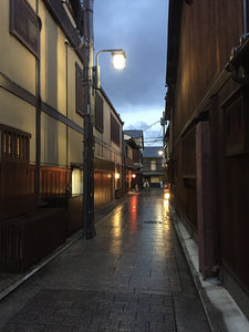 Gion Nights Earrings