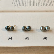 Load image into Gallery viewer, AA Tahitian Pearl Studs 14kGF: #4-6