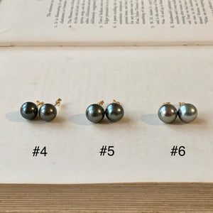 AA Tahitian Pearl Studs 14kGF: #4-6