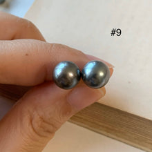 Load image into Gallery viewer, AA Tahitian Pearl Studs 14kGF: #7-9