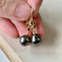 Load image into Gallery viewer, Rainbow Peacock Tahitian Circle Pearls, Red Zirconia Bee 14kGF Earrings