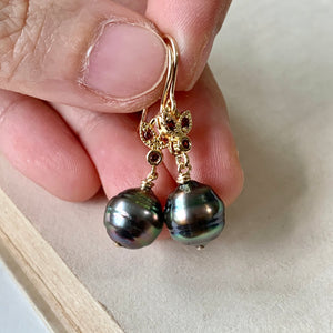 Rainbow Peacock Tahitian Circle Pearls, Red Zirconia Bee 14kGF Earrings