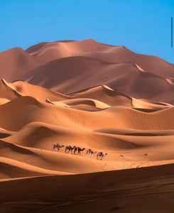 Sahara Desert- Montana Agate, London Blue Topaz, Brandy Citrine 14kGF