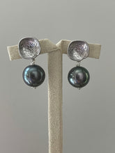 Load image into Gallery viewer, Dark Blue Freshwater Pearls on Rhodium Plated Studs