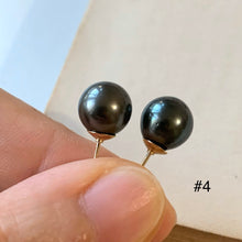 Load image into Gallery viewer, AA Tahitian Pearl Studs 14kGF: #4-6