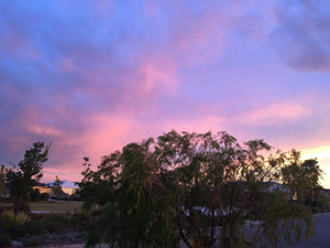Pink & Lilac Perth Sunset
