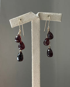 Rhodolite Garnet Cascade 14kGF Earrings