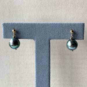Peacock Blue AAA Tahitian Pearls on 14kGF Studs