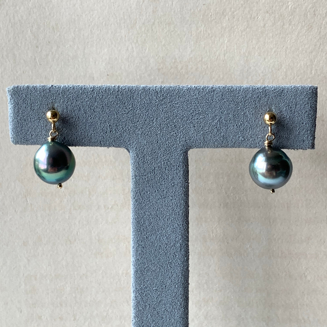 Peacock Blue AAA Tahitian Pearls on 14kGF Studs