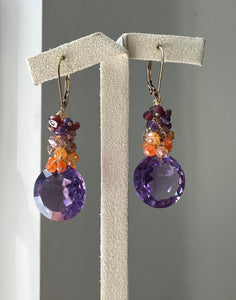 Rare Amethyst and Autumn Gemstones 14kGF Earrings