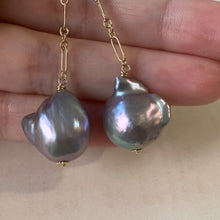 Load image into Gallery viewer, AAA Baby Dark Silver Baroque Pearls 14kGF Long Earrings