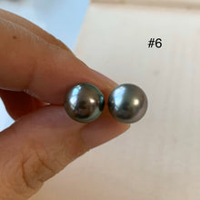 Load image into Gallery viewer, AA Tahitian Pearl Studs 14kGF: #4-6