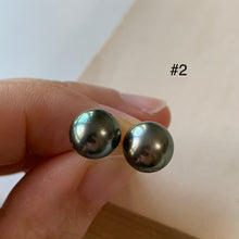 Load image into Gallery viewer, AA Tahitian Pearl Studs 14kGF: #1-3
