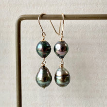 Load image into Gallery viewer, Peacock Circle Tahitian Double Pearls 14kGF
