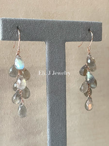 Summer 2: Labradorite 14kRGF Earrings