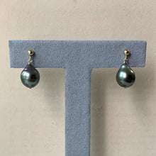 Load image into Gallery viewer, Simple Tahitian Pearls 14kGF