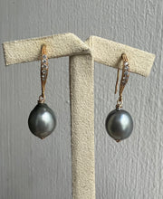 Load image into Gallery viewer, Silver Tahitian Pearls 14kGF Earrings