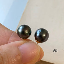 Load image into Gallery viewer, AA Tahitian Pearl Studs 14kGF: #4-6