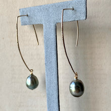Load image into Gallery viewer, AAA Large Edison Pearls (Hand Forged) 14kGF Earrings