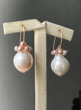 Load image into Gallery viewer, White Edison &amp; Blush Pearls 14kRGF Earrings