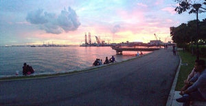 West Coast Sunset