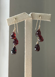 Rhodolite Garnet Cascade 14kGF Earrings