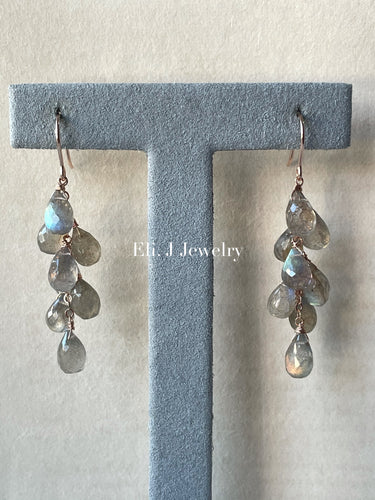 Summer 2: Labradorite 14kRGF Earrings