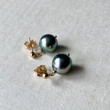 Load image into Gallery viewer, Peacock Blue AAA Tahitian Pearls on 14kGF Studs