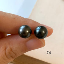 Load image into Gallery viewer, AA Tahitian Pearl Studs 14kGF: #4-6