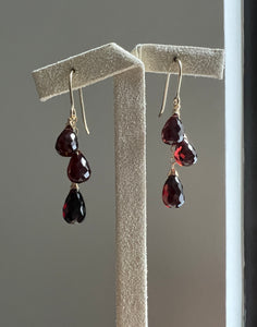 Rhodolite Garnet Cascade 14kGF Earrings