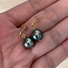 Load image into Gallery viewer, Peacock Blue AAA Tahitian Pearls on 14kGF Studs
