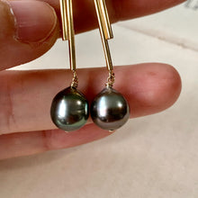 Load image into Gallery viewer, Cocoa- Colorful Tahitian Pearls in Statement Gold Bar Studs