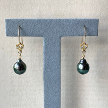 Load image into Gallery viewer, AAA Peacock Tahitian Pearls &amp; Bee 14kGF