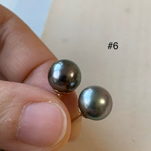 Load image into Gallery viewer, AA Tahitian Pearl Studs 14kGF: #4-6